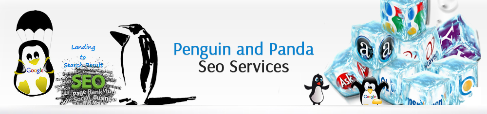Professional SEO services India