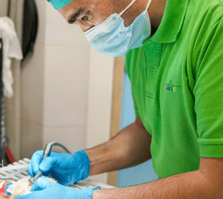 Al Barsha Veterinary Clinic doctor